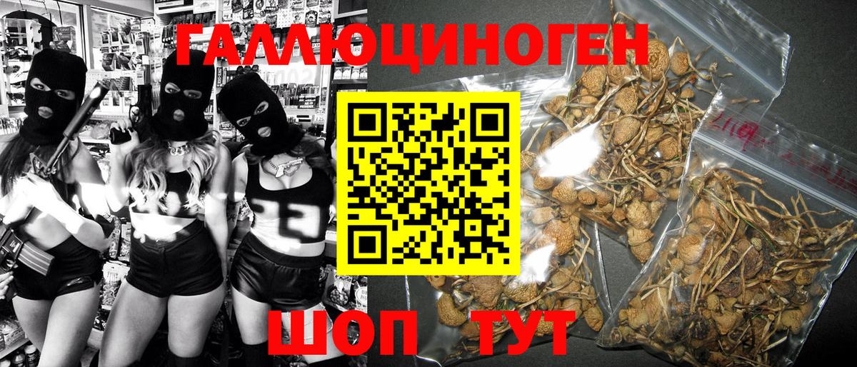 Галлюциногенные грибы GOLDEN TEACHER Фролово